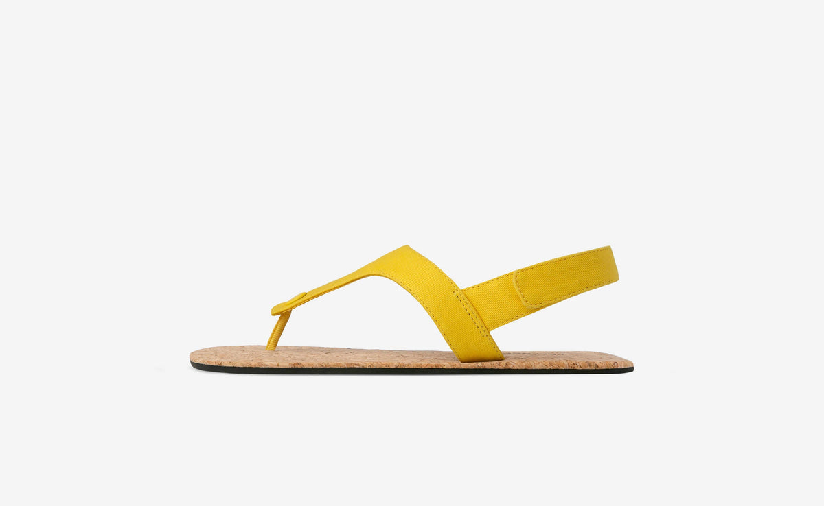Shoe Image