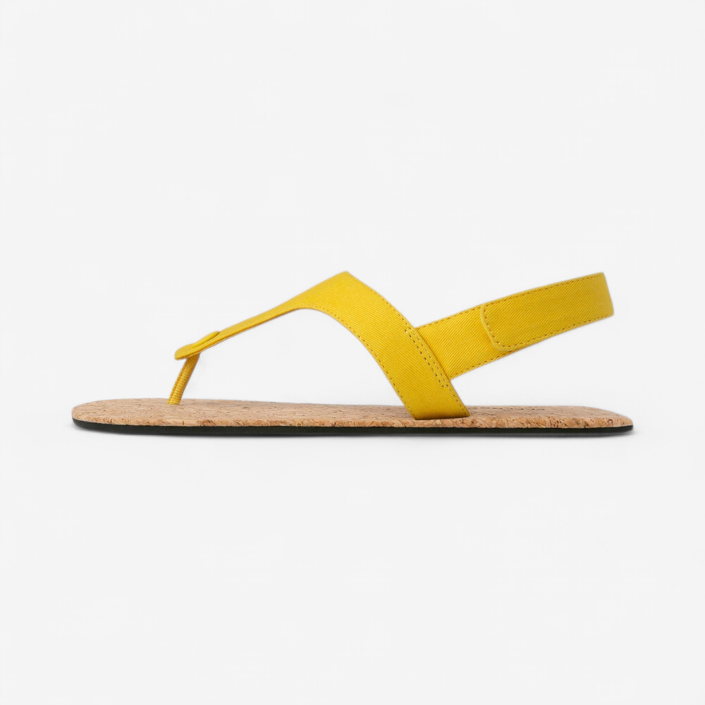 Shoe Image